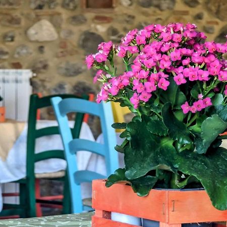 La Quinta Decima Bioagriturismo Fattoria Spedaletto Zewnętrze zdjęcie