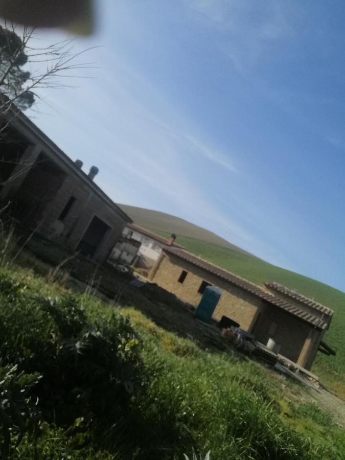La Quinta Decima Bioagriturismo Fattoria Spedaletto Zewnętrze zdjęcie