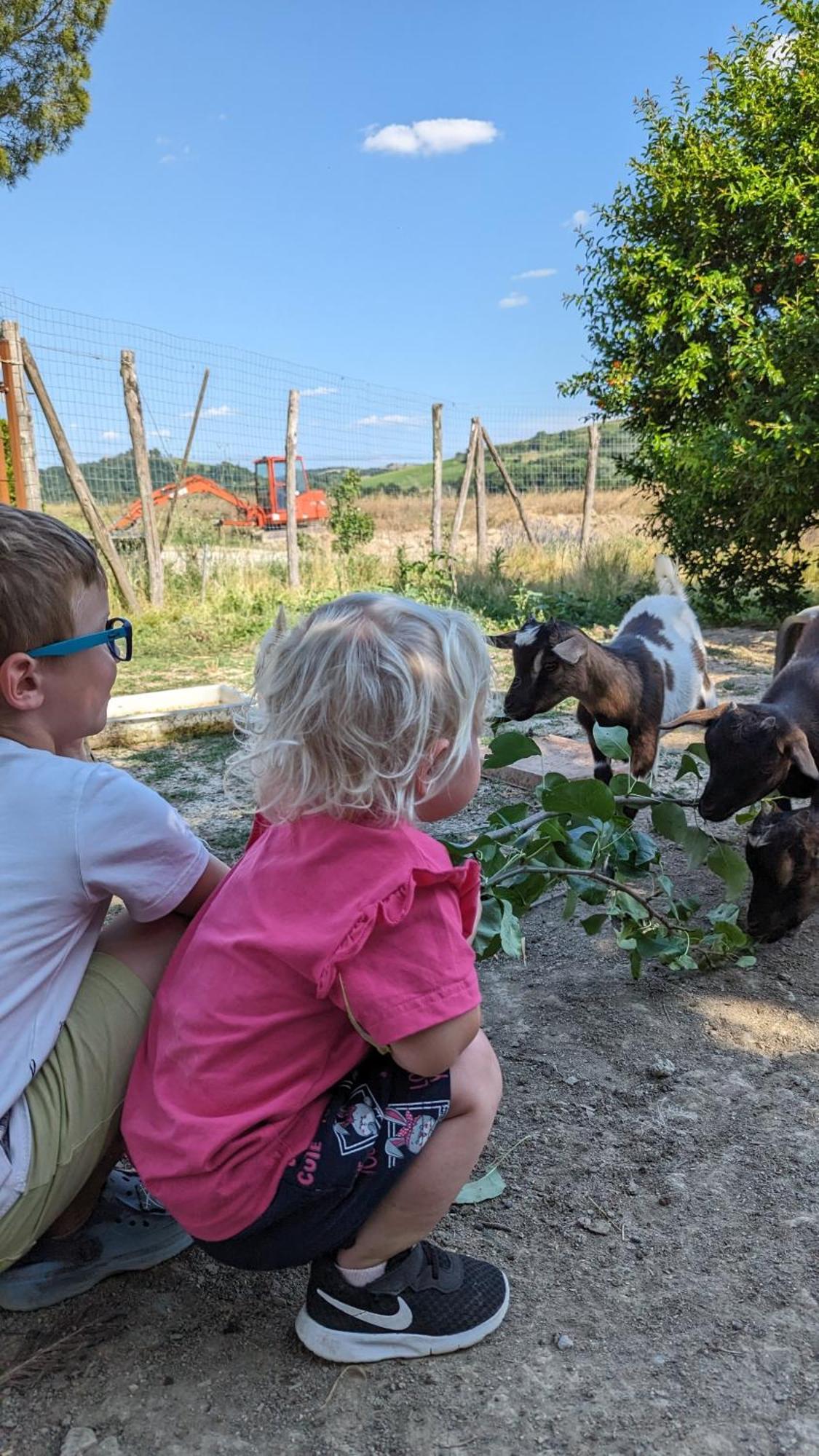 La Quinta Decima Bioagriturismo Fattoria Spedaletto Zewnętrze zdjęcie