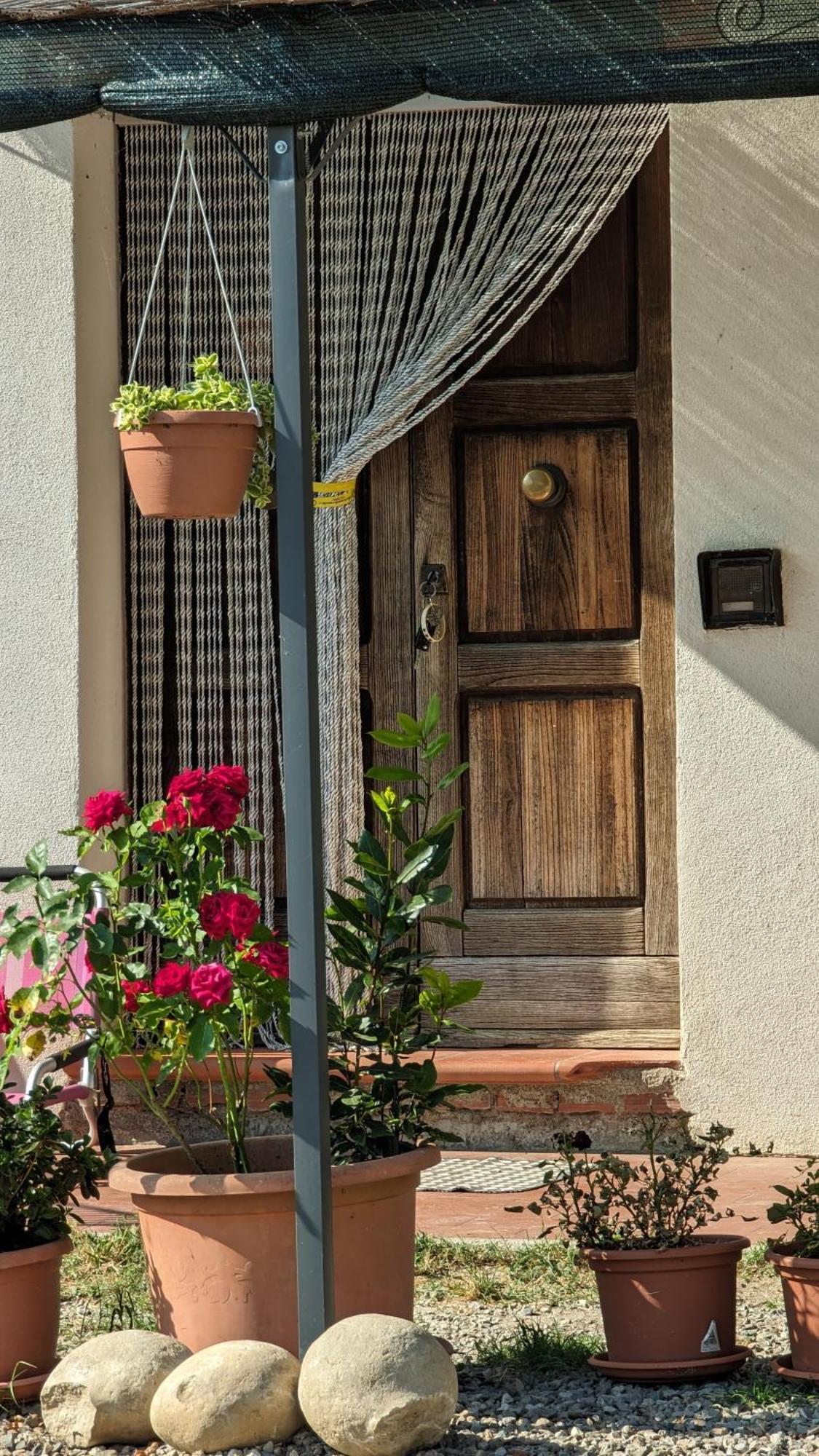 La Quinta Decima Bioagriturismo Fattoria Spedaletto Zewnętrze zdjęcie