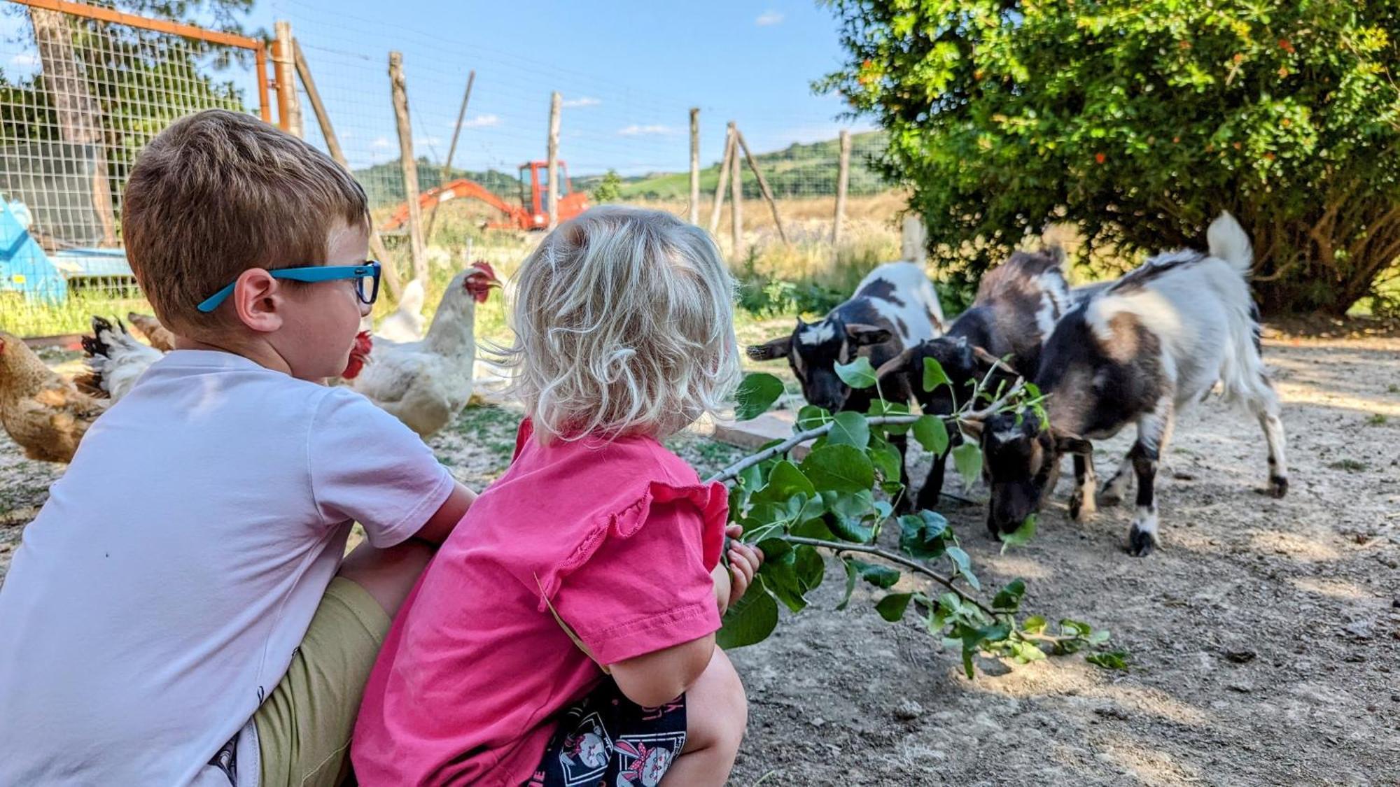 La Quinta Decima Bioagriturismo Fattoria Spedaletto Zewnętrze zdjęcie